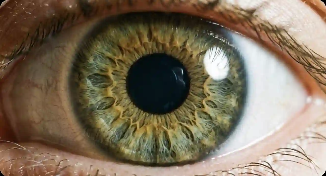 Fotografía macro del iris de un ojo humano, destacando su complejidad y diseño detallado que refuta el azar evolutivo.